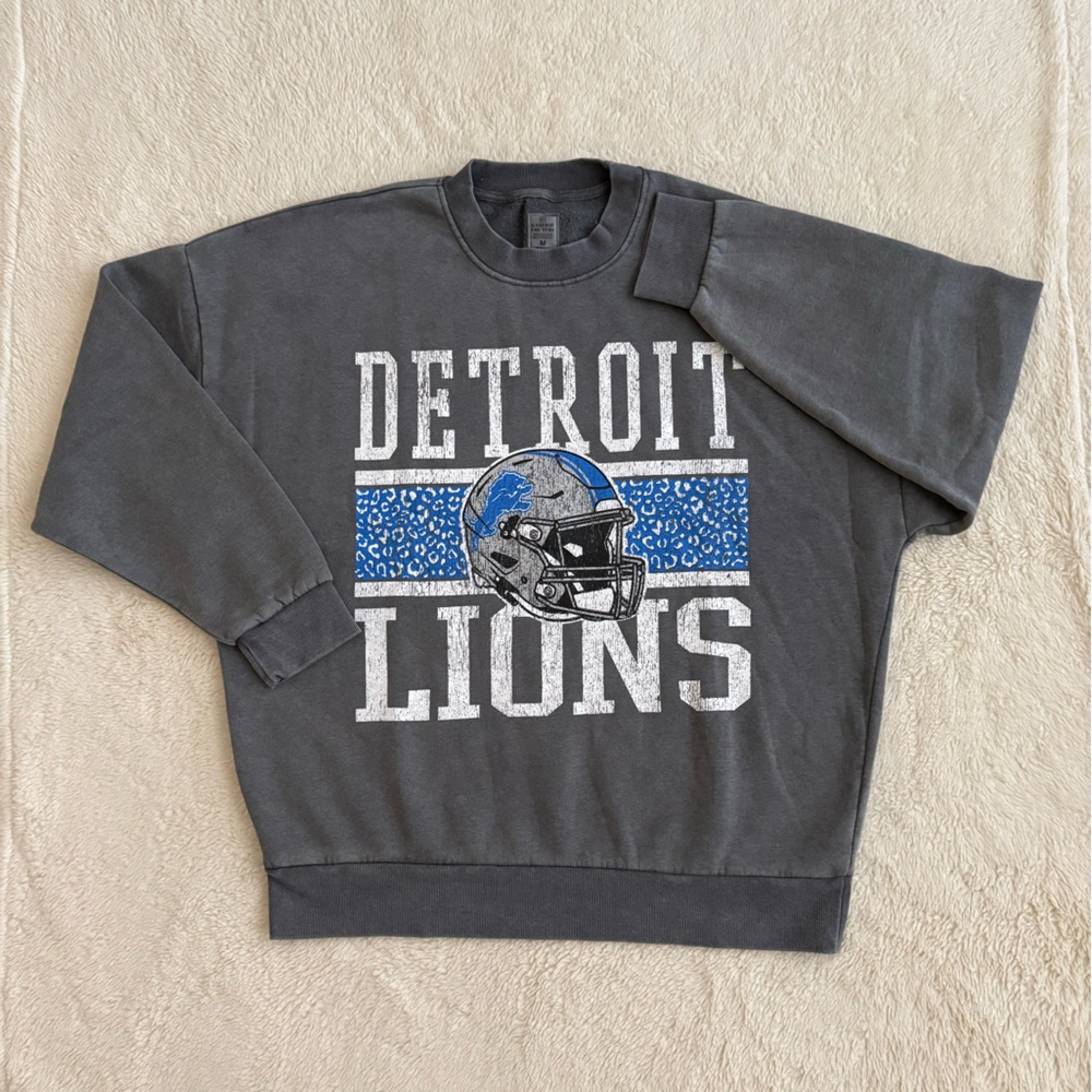Men’s Detroit Lions Sweatshirt, NFL, Vintage Wash Fleece, NWT